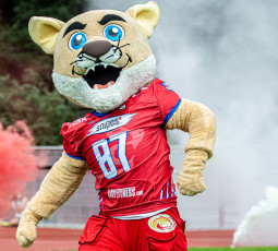 USC-Jahreshauptversammlung abgesagt! USC-Jahreshauptversammlung abgesagt!