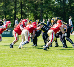 Cougars 2 im Halbfinale Cougars 2 im Halbfinale