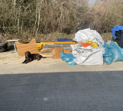 Dienst für die Umwelt rund um den Vereinsplatz Dienst für die Umwelt rund um den Vereinsplatz