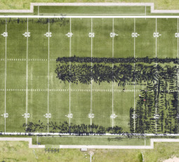 Platzpflege in der Off-Season Platzpflege in der Off-Season