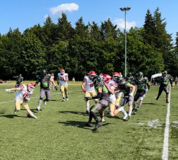 Cougars 2 vor letztem Auswärtsspiel Cougars 2 vor letztem Auswärtsspiel