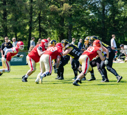 Cougars 2 auch im dritten Spiel ungeschlagen Cougars 2 auch im dritten Spiel ungeschlagen