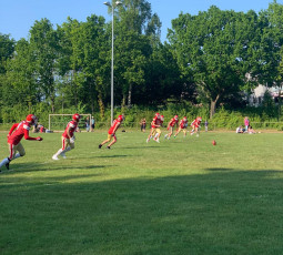 Spiel der Cou2 gegen die Vikings fällt aus Spiel der Cou2 gegen die Vikings fällt aus