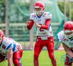 12 Cougars-Talente für Schleswig-Holstein 12 Cougars-Talente für Schleswig-Holstein