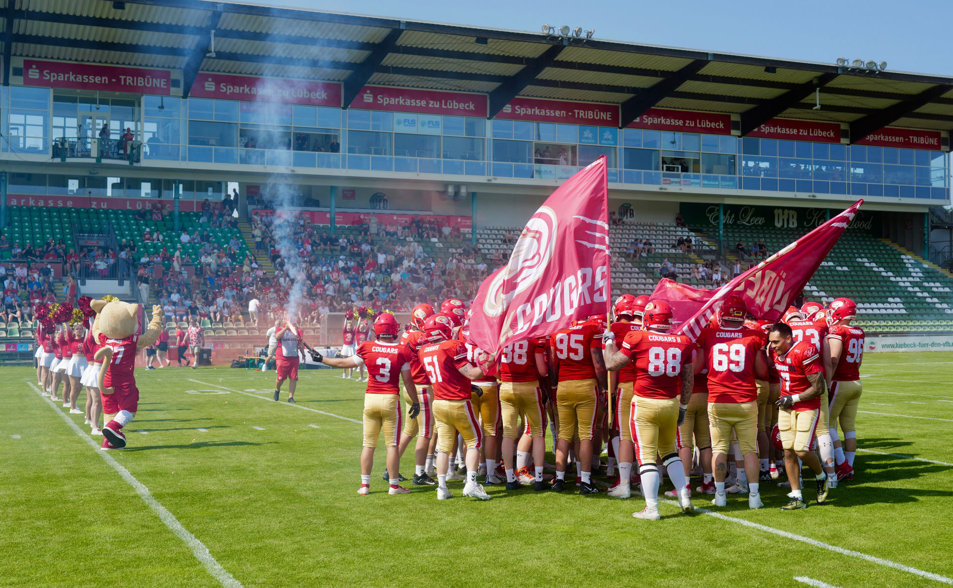 Cougars